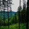 Radziejowa - Wspólna wyprawa górska