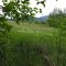Lubomierz-Turbacz-Ochtonica Dolna