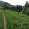 Lubomierz-Turbacz-Ochtonica Dolna
