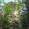 Lubomierz-Turbacz-Ochtonica Dolna