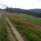 Lubomierz-Turbacz-Ochtonica Dolna