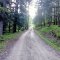 Gaboń-Szlachtowa-Wysoki Wierch-Szczawnica