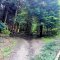 Gaboń-Szlachtowa-Wysoki Wierch-Szczawnica