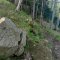 Gaboń-Szlachtowa-Wysoki Wierch-Szczawnica