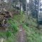 Gaboń-Szlachtowa-Wysoki Wierch-Szczawnica