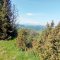 Gaboń-Szlachtowa-Wysoki Wierch-Szczawnica