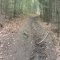 Gaboń-Szlachtowa-Wysoki Wierch-Szczawnica