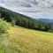 Lubomierz-Stare Wierchy-Maciejowa-Rabka Zdrój