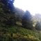Obidza - Przehyba - Stary Sącz