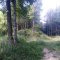 Obidza - Przehyba - Stary Sącz