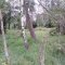Obidza-Stary Sącz-Piwniczna-Szlachtowa