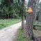 Obidza-Stary Sącz-Piwniczna-Szlachtowa