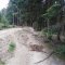 Obidza-Stary Sącz-Piwniczna-Szlachtowa