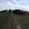 Obidza-Stary Sącz-Piwniczna-Szlachtowa