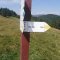 Obidza-Stary Sącz-Piwniczna-Szlachtowa
